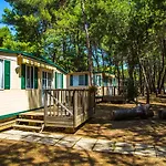 Arena Mobile Homes מדולין
