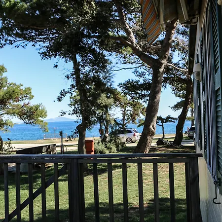Arena Mobile Homes 2*