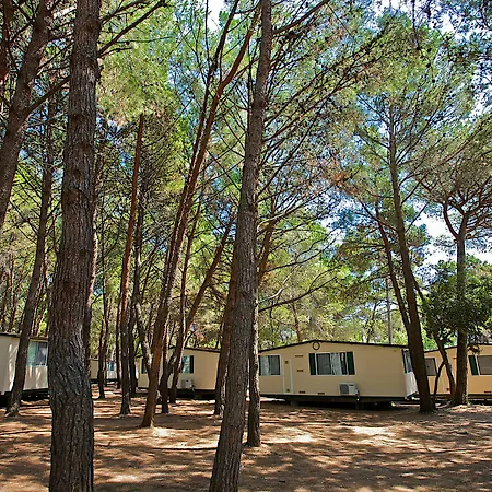 Arena Mobile Homes 2* Medolino