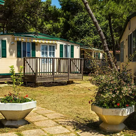 Arena Mobile Homes 2*