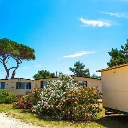 פארק נופש Arena Mobile Homes מדולין