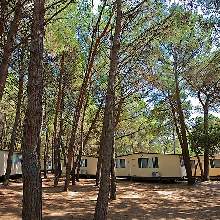 Parco vacanze Arena Mobile Homes Medolino
