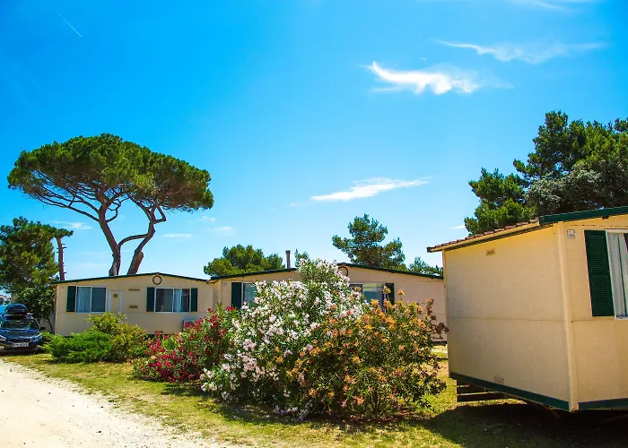 Parco vacanze Arena Mobile Homes Medolino