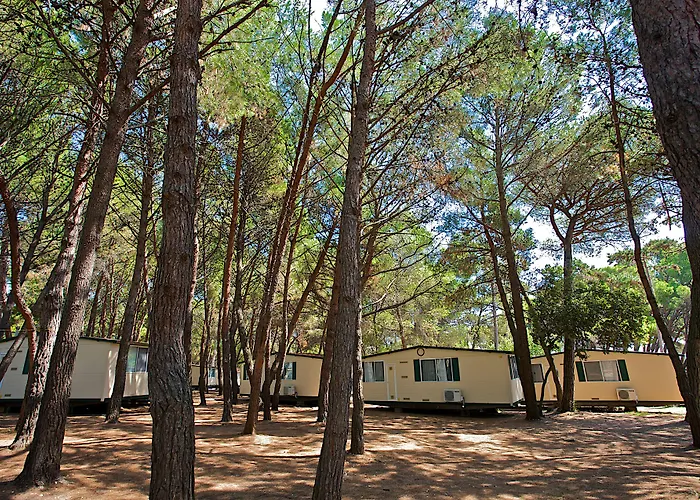 Parco vacanze Arena Mobile Homes Medolino
