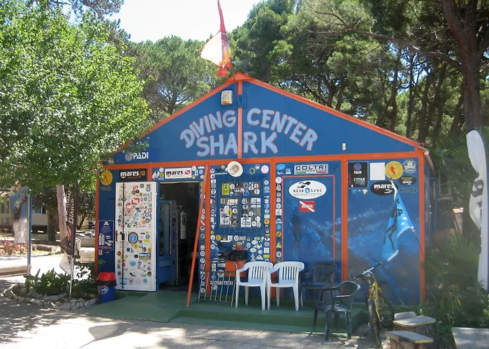 Arena Mobile Homes 2*